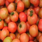 완숙토마토 주스용(못난이) (사이즈:100g-400g 랜덤) 3KG 박스 무료배송,!