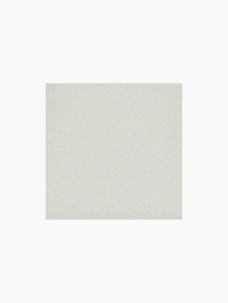 S-107 300X300