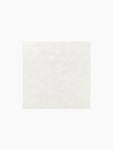 화이트 라떼 600x600