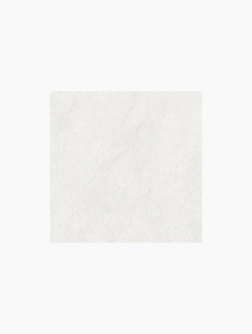 아레 비안코 600X600