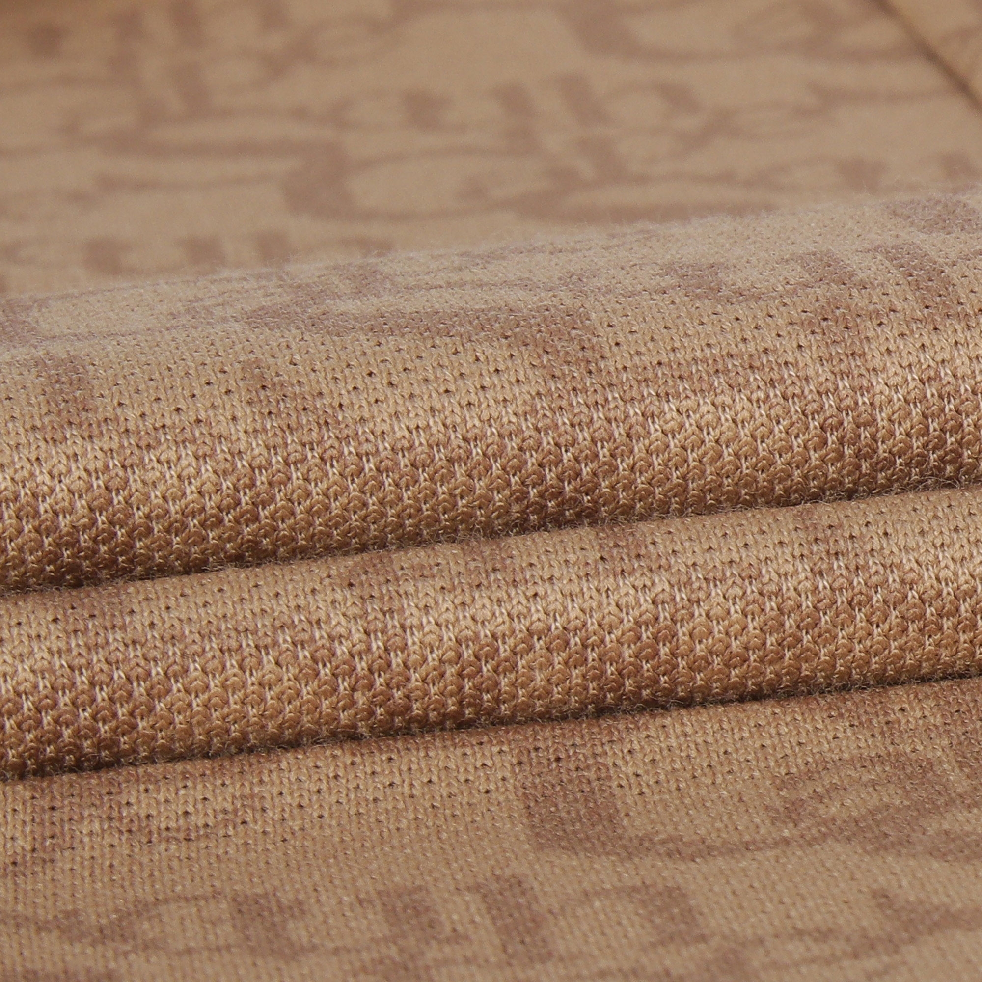 여성 로고 밴드 패턴 칼라 티셔츠_카멜