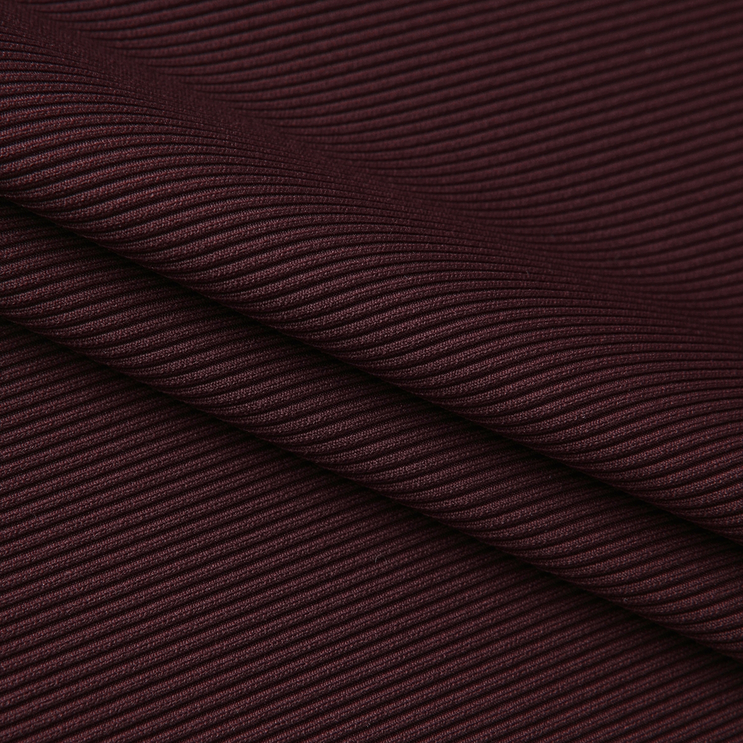 사우스케이프 여성 골지 배색 카라 티셔츠_브라운