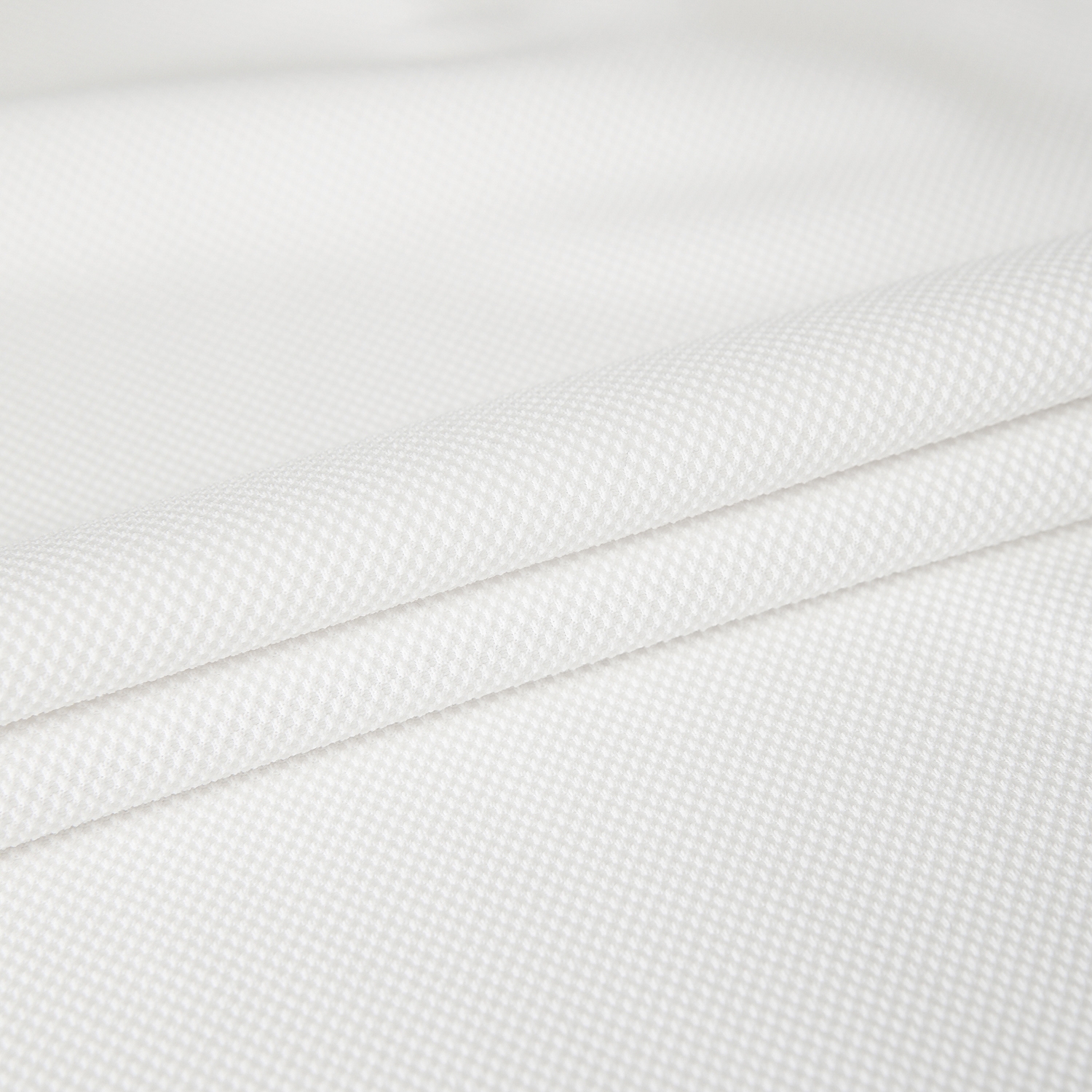 여성 사우스크로스 베이직 카라 티셔츠_화이트