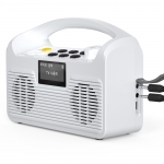 엠지텍 들리움 블루투스 스피커 온가족 올인원 휴대용 무선 스피커