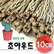 초야우드 10cm / 선인장유목 ,초야유목