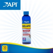 API 멜라픽스 118ml