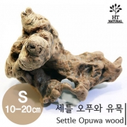 세틀 오푸와 유목 S (10~20cm)