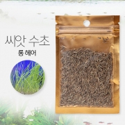 씨앗수초 롱헤어 8g