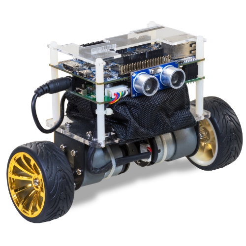 Self-Balancing Robot