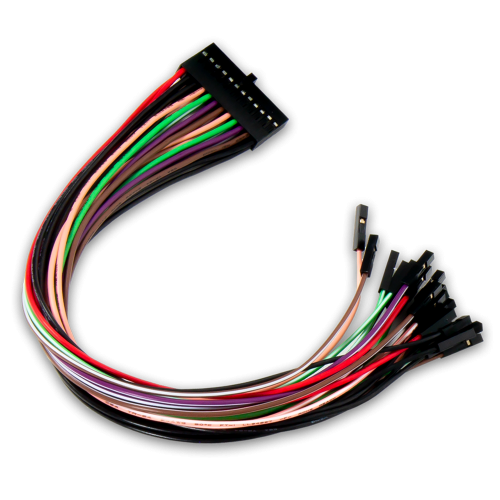 2x12 Flywires: Signal Cable Assembly for the Analog Discovery Pro 3000 Series