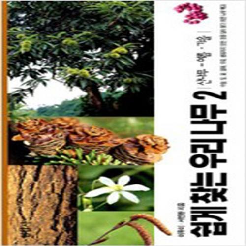 (중고) 쉽게 찾는 우리 나무 2-산나무-여름.가을-최상-현암사