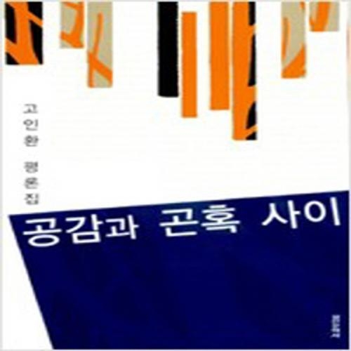 (중고) 공감과 곤혹 사이 (최상-실천문학)