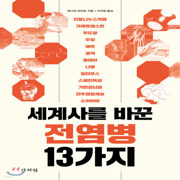 (중고) 세계사를 바꾼 전염병 13가지 (최상-20000-산처럼)