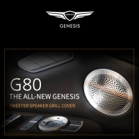 [The All New Genesis G80] 제네시스 G80 트위터 스피커 그릴 커버