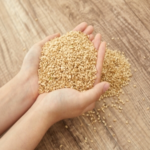 [미실란] 유기농 도담쌀 발아현미 500g x 3봉