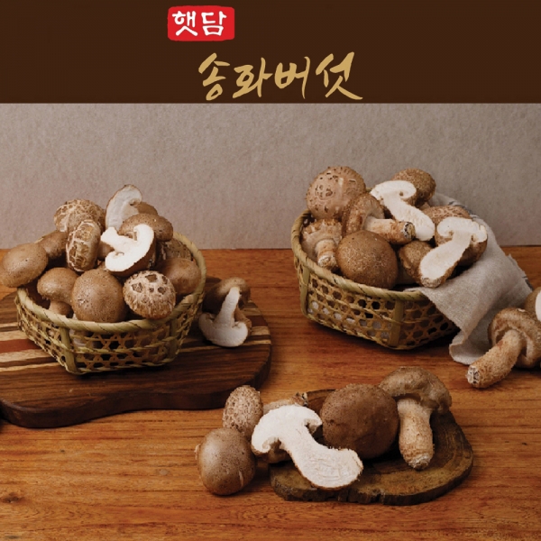 [3+1]햇담 송화버섯 가정용 실속형 정품중급 농협에 납품하는 이천 무농약 햇살담은 송고버섯