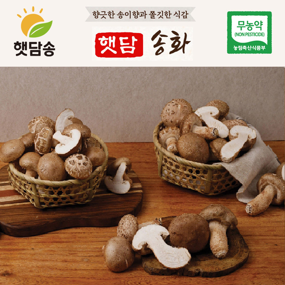 [중급1+1]햇담송화 가정형 정품중급 농협에 납품하는 송이향 고기식감 송고