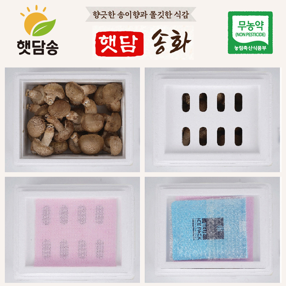 [중급1+1]햇담송화 가정형 정품중급 농협에 납품하는 송이향 고기식감 송고