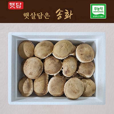 [햇담송화]무농약 송화 상급 고급형 농협에 납품하는 송이향 고기식감 송고 송화고버섯