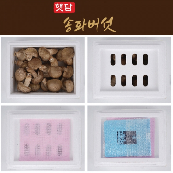 [3+1]햇담 송화버섯 상급 고급형 농협에 납품하는 이천 무농약 햇살담은 송고버섯