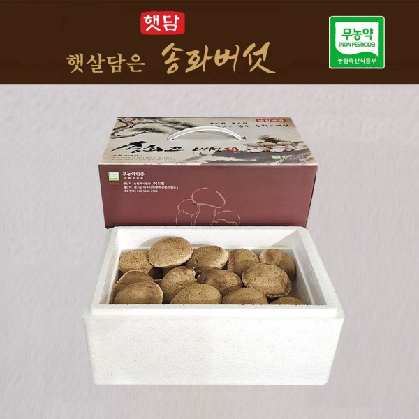 [선물세트3+1] 햇담송화버섯 프리미엄 VIP 선물세트 최고급형 농협에 납품하는 이천 무농약 햇살가득담은 송고버섯