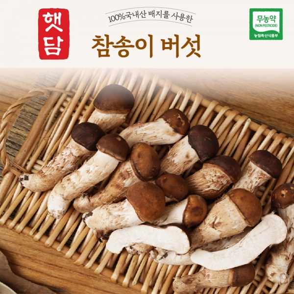 [3+1]햇담 참송이버섯 정품 특사이즈 최상급 농협에 납품하는 무농약 이천 참송이버섯