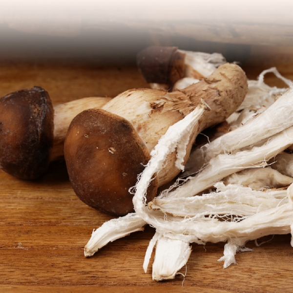 [3+1]햇담 참송이버섯 정품 특사이즈 최상급 농협에 납품하는 무농약 이천 참송이버섯