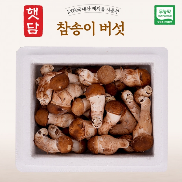 [3+1]햇담 참송이버섯 B급이하 가정형 정품중급 실속형 농협에 납품하는 무농약 이천 참송이버섯