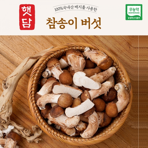 [3+1]햇담 참송이버섯 B급이하 가정형 정품중급 실속형 농협에 납품하는 무농약 이천 참송이버섯