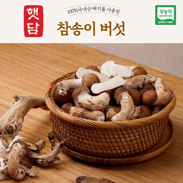[3+1]햇담 참송이버섯 B급이하 가정형 정품중급 실속형 농협에 납품하는 무농약 이천 참송이버섯