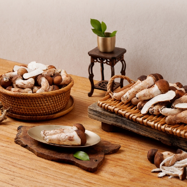 [3+1]햇담 참송이버섯 B급이하 가정형 정품중급 실속형 농협에 납품하는 무농약 이천 참송이버섯