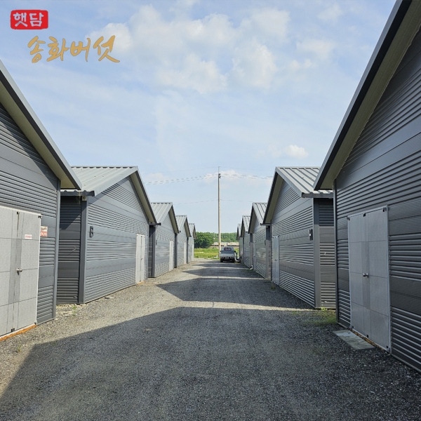 [3+1]햇담 참송이버섯 B급이하 가정형 정품중급 실속형 농협에 납품하는 무농약 이천 참송이버섯