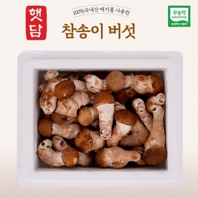 [3+1]햇담 참송이버섯 B급이하 가정형 정품중급 실속형 농협에 납품하는 무농약 이천 참송이버섯