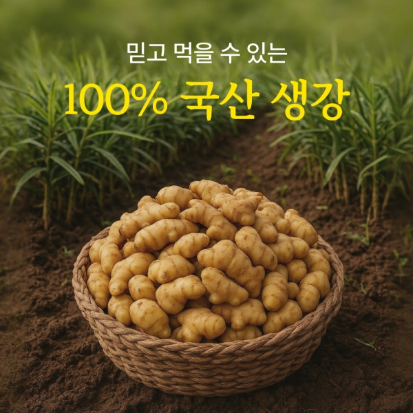 [느린정성] 무설탕 무가당 생강청 생강차 홍강청 제로 수제 임산부