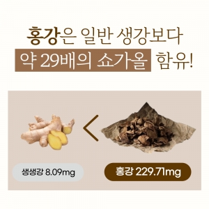 [느린정성] 무설탕 무가당 생강청 생강차 홍강청 제로 수제 임산부