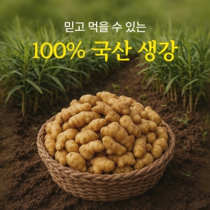 [느린정성] 무설탕 무가당 생강청 생강차 홍강청 제로 수제 임산부