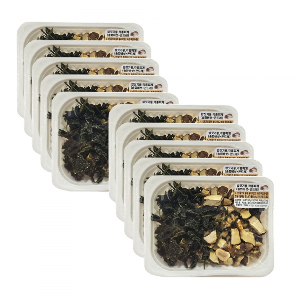 [햇담송] 무농약 송화버섯 곤드레밥 밥짓기용 찌개용 송고버섯 한끼 나물밥