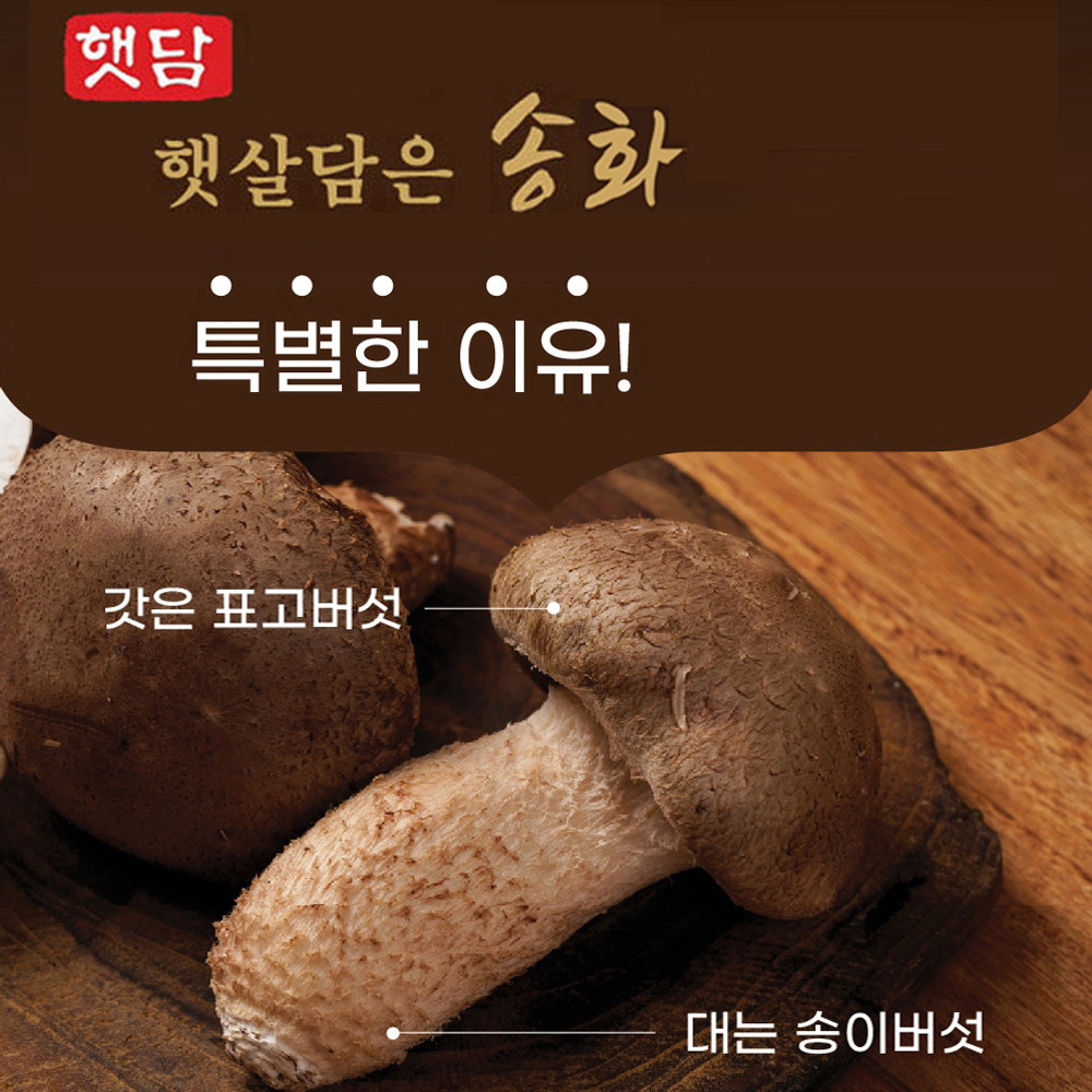 [햇담송]무농약 건조송화 곤드레밥 밥짓기용 찌개용 송고버섯 한끼 나물밥