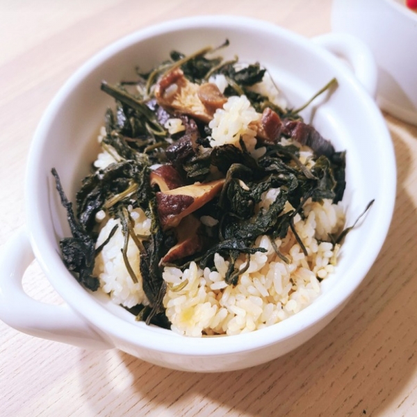 [햇담송] 무농약 송화버섯 곤드레밥 밥짓기용 찌개용 송고버섯 한끼 나물밥