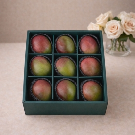 [설 명절] 애플망고 실속형 선물세트 (보자기 미포함) 애플망고 9입