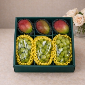 [설 명절] 애플망고&샤인머스캣 실속형 선물세트 (보자기 미포함) [각 3입]