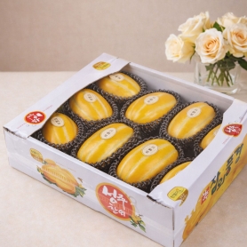 [설 명절] 성주참외 5kg 실속형 선물세트 (보자기 미포함) 10~13입