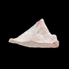 ■택배■ [냉동] 원양산 황새치 메카가마