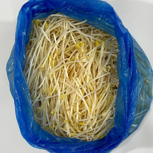 [냉장] 중국산 두절 콩나물 1kg 내외