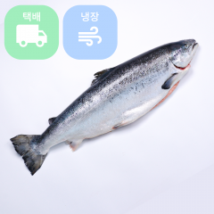 ■택배■ [냉장] 노르웨이산 연어 6.0~7.0kg