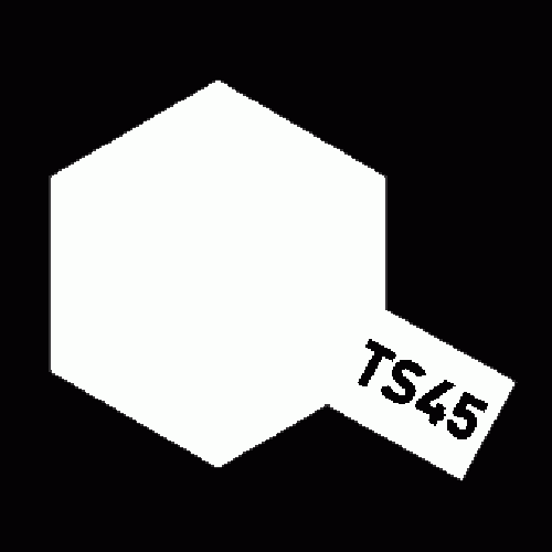 TS-45 Pearl white 펄 화이트 유광