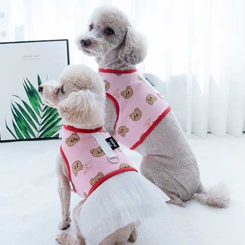 쿠마하네스(핑크)