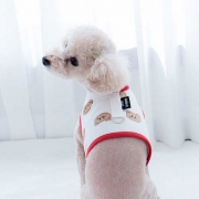 쿠마하네스(화이트)