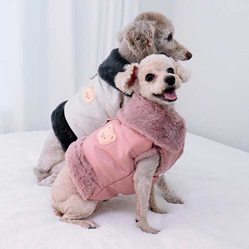 블랑가죽점퍼(하네스)