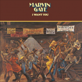 Marvin Gaye - I Want You [수입]